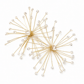 Crystal Starburst Earrings