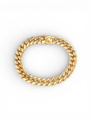 Luxe Link Anklet